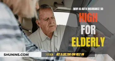 Auto Insurance Premiums: Elderly Face High Costs