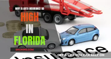 Florida Auto Insurance: Why So Expensive?