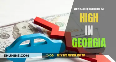 Auto Insurance in Georgia: Why So Expensive?