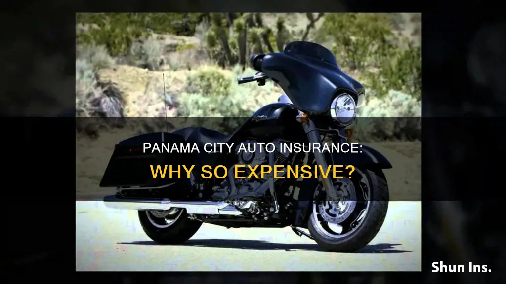 why is auto insurance so high in panama city