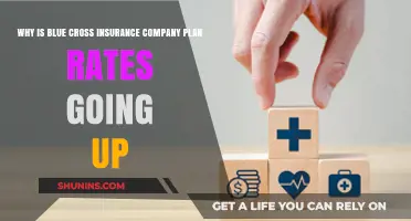 Rising Blue Cross Insurance Premiums: Understanding the Rate Increase Factors