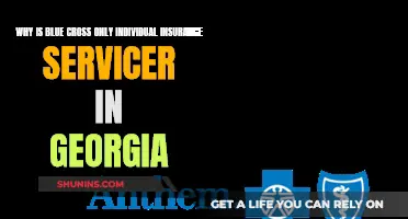 Blue Cross: Georgia's Sole Individual Insurance Provider: Unraveling the Mystery