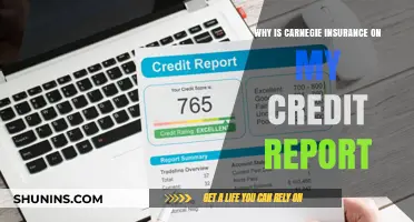 Carnegie Insurance: Why It's on Your Credit Report