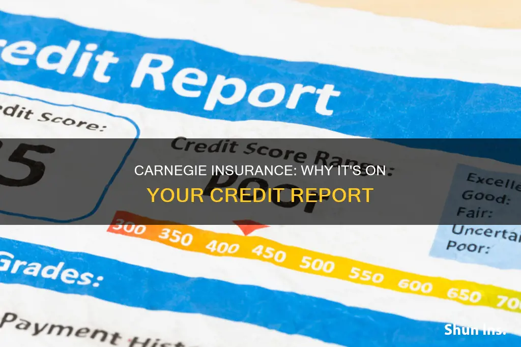 why is carnegie insurance on my credit report