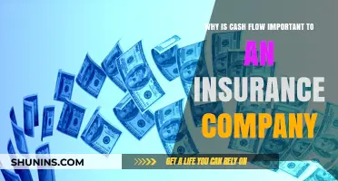 Cash Flow's Critical Role in Insurance Company Stability and Growth