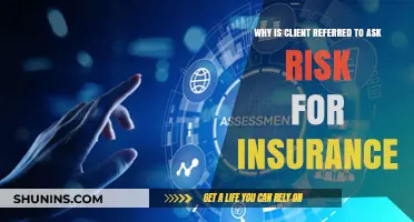 Understanding Client Risk Assessment for Insurance