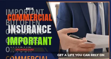 Commercial Insurance: Protecting Your Business from the Unexpected
