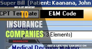 Why CPT Codes Are Crucial for Insurance Companies' Claims Processing