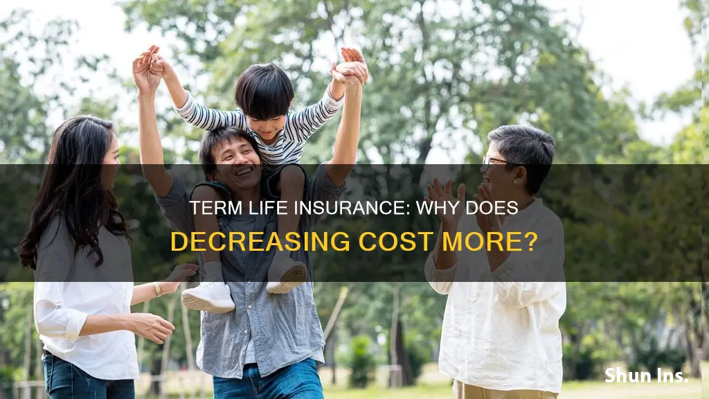 why is decreasing term life insurance more expensive