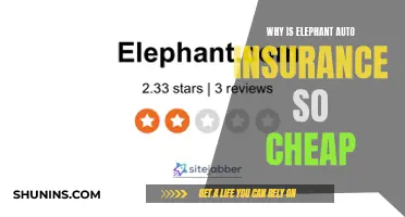 Elephant Auto Insurance: Cheap Rates, Big Benefits