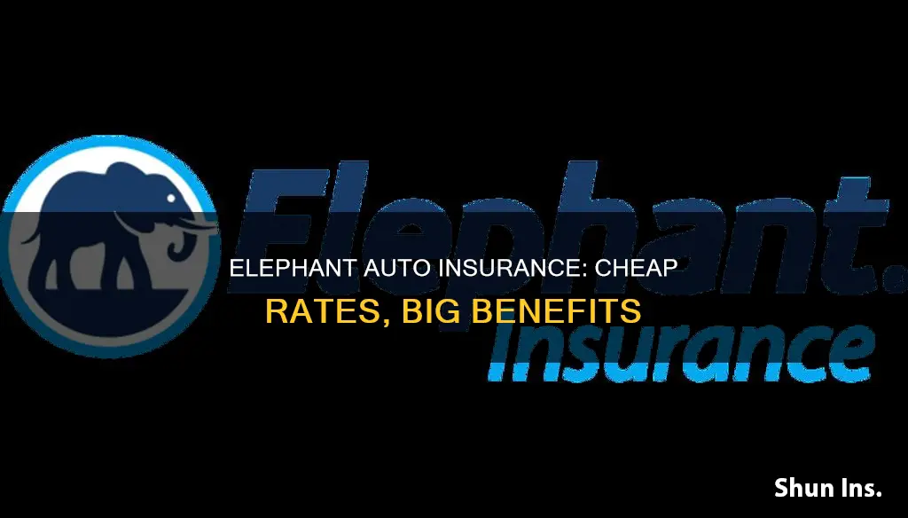 why is elephant auto insurance so cheap