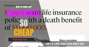 Ethos Life Insurance: Unlocking Affordable Coverage Secrets