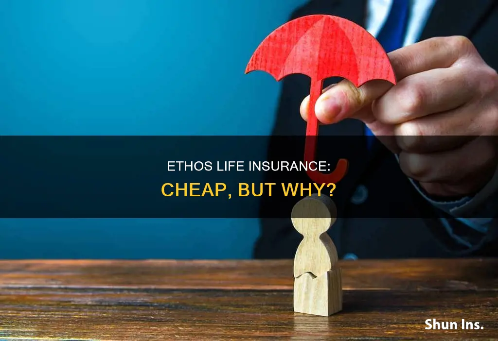 why is ethos life insurance so cheap