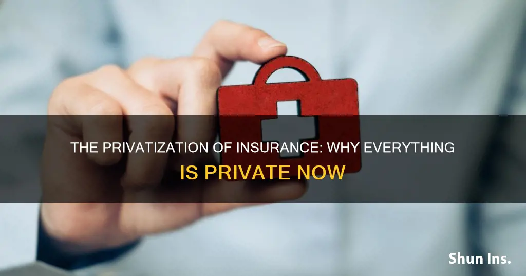 why is everything private insurance privatized