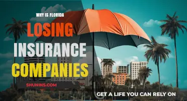 Florida's Insurance Exodus: Why Companies Are Abandoning the Sunshine State