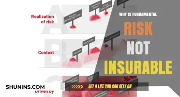 Understanding Uninsurable Fundamental Risk: What's Not Covered?
