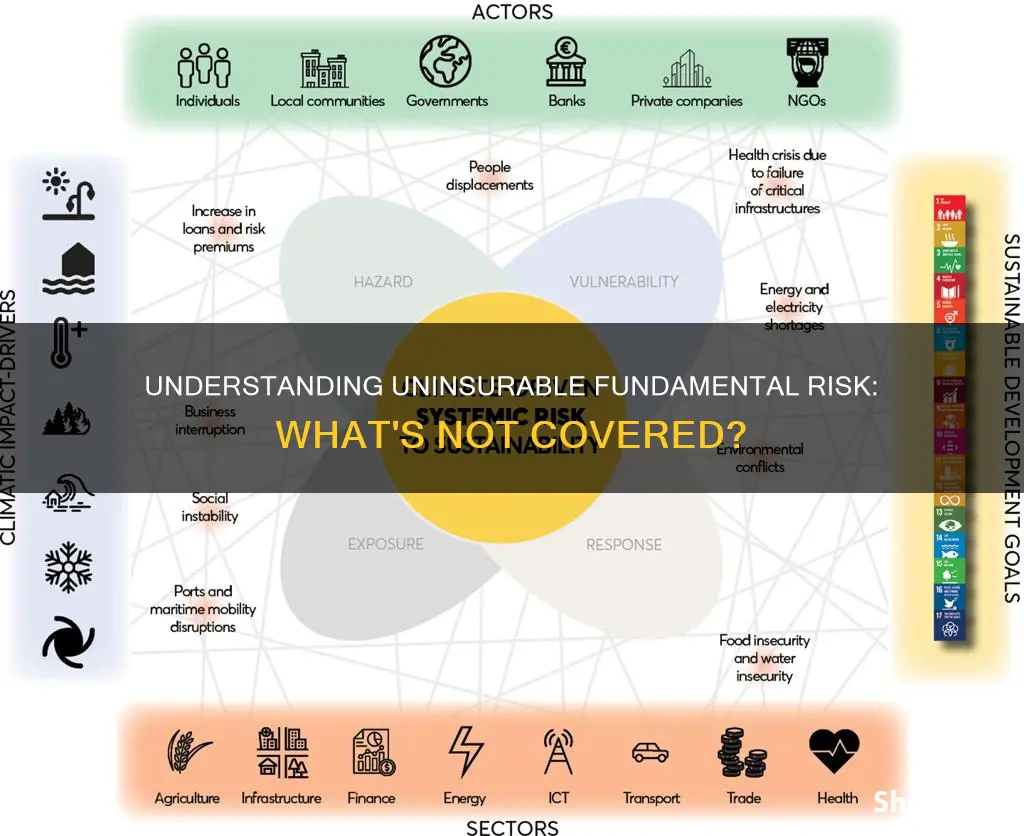 why is fundamental risk not insurable