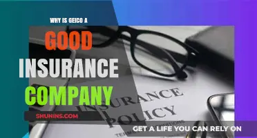Why GEICO Stands Out as a Top Insurance Choice