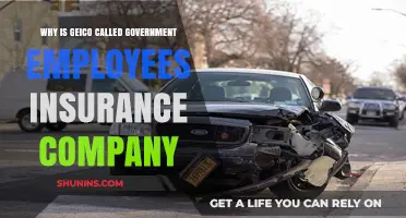 Why GEICO's Original Name Reflects Its Government Employee Roots
