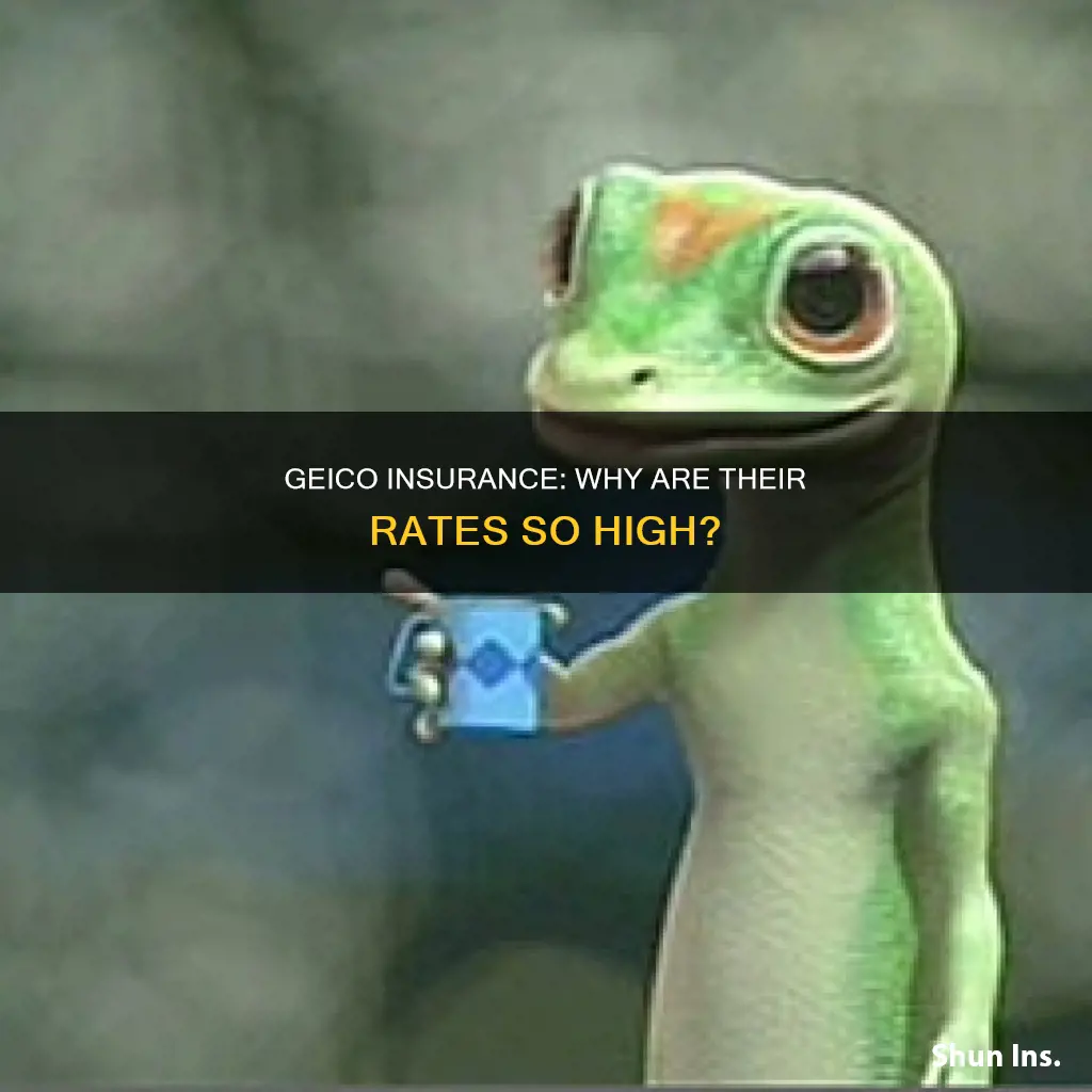 why is geico insurance so high