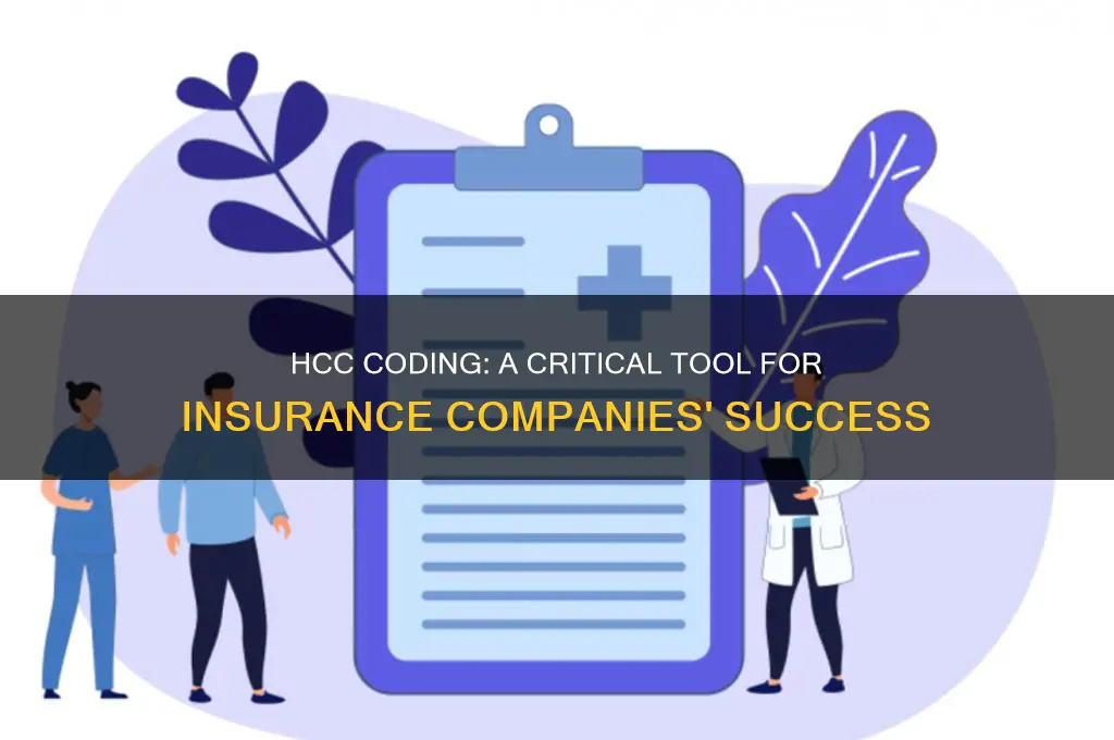 why is hcc coding so important to the insurance companies