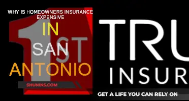 San Antonio's Home Insurance: Why So Pricey?
