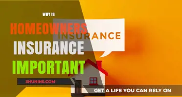 Protect Your Home: Get Insurance
