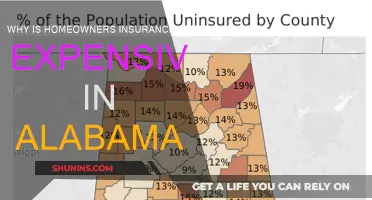 Alabama's Home Insurance: Why the High Cost?