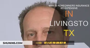 Homeowners Insurance in Livingston, TX: Why So Pricey?