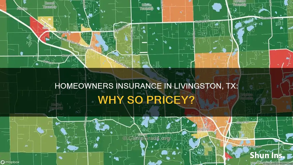 why is homeowners insurance so expensive in livingston tx