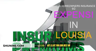 Louisiana's Home Insurance: The Costly Truth
