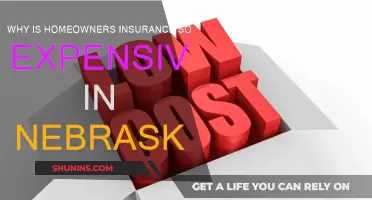 Nebraska's Home Insurance: Why the High Cost?
