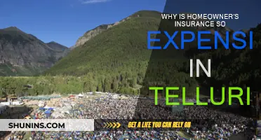 Telluride's Home Insurance: Why the High Cost?