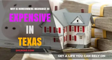 Texas Home Insurance: Why So Expensive?