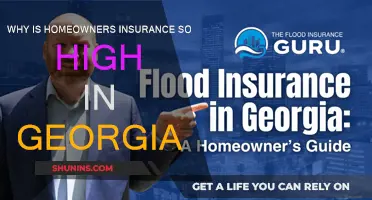 Georgia's Home Insurance: Why the High Cost?