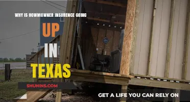 Texas Home Insurance: Rising Costs and Why
