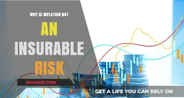 Understanding Inflation: An Uninsurable Risk Factor