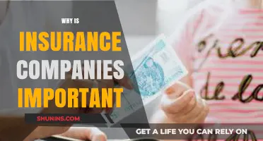 Why Insurance Companies Are Vital for Financial Security and Peace of Mind