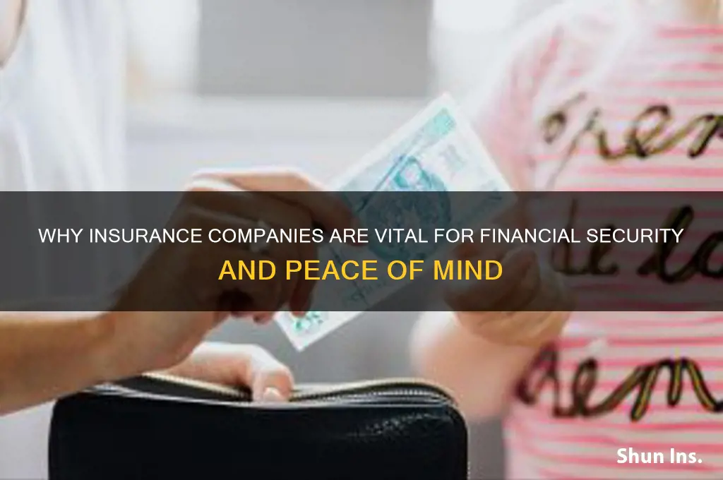 why is insurance companies important