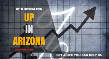 Arizona Insurance Rates: What's Behind the Surge?