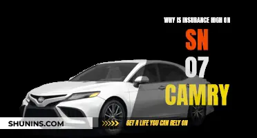 Insurance Costs for Camry: Why So High?