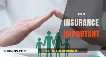 Insurance: Protecting Your Assets and Peace of Mind