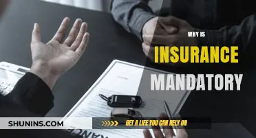 Why Insurance is Mandatory: Protecting Your Future and Finances