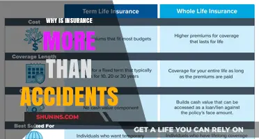 Insurance: Beyond Accidents, a Safety Net for Life