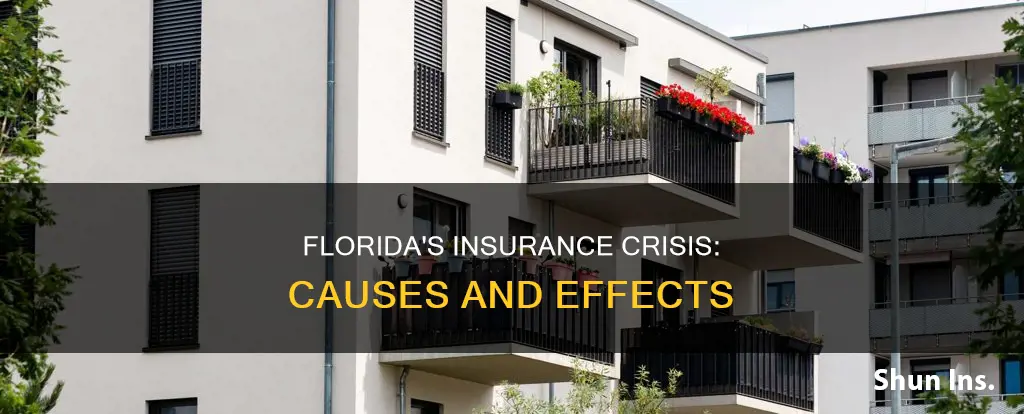 why is insurance so high in Florida