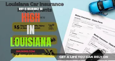 Louisiana's Insurance Rates: Sky-High Premiums Explained