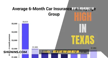 Texas Insurance Premiums: Why So Expensive?