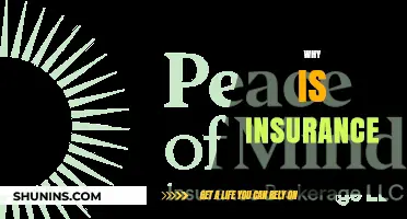 Insurance: Protecting Your Future and Peace of Mind