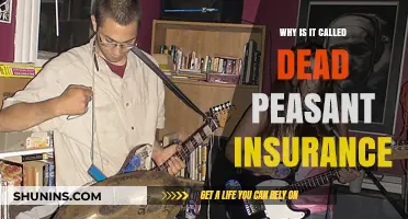 Unraveling the Dark Truth Behind "Dead Peasant" Insurance