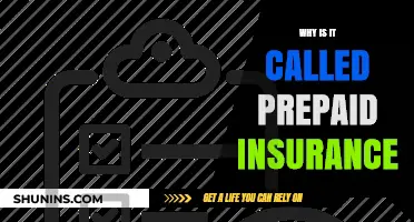 Understanding the Concept of Prepaid Insurance